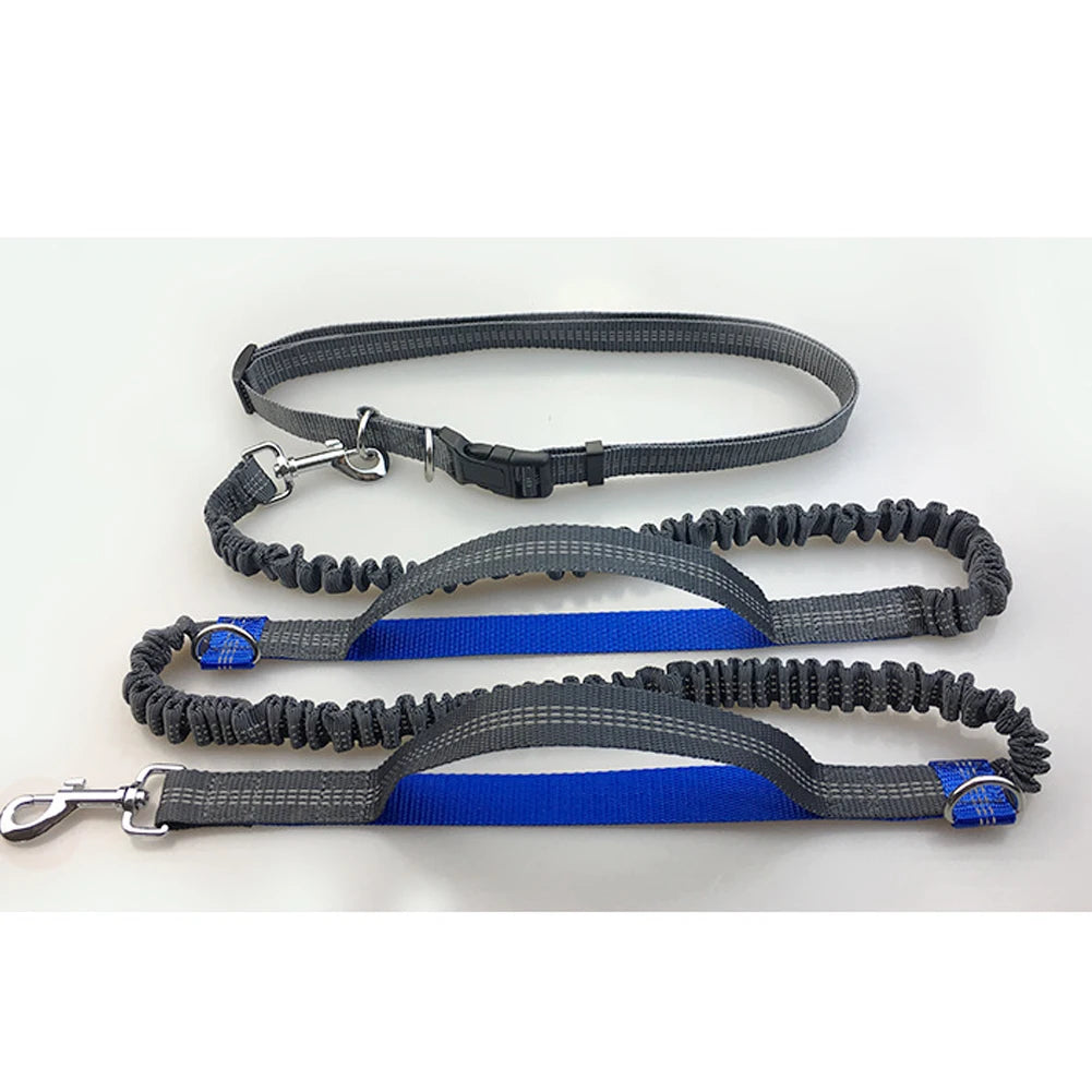 Hands-Free Elastic Reflective Dog Leash