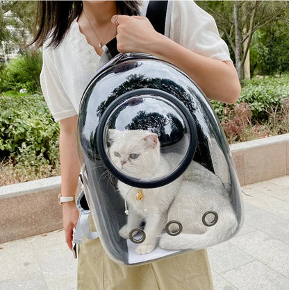 Transparent Cat Carrier Backpack