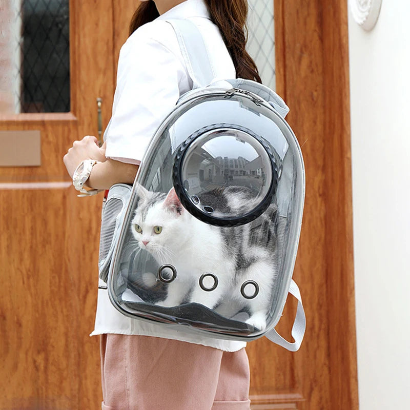 Transparent Cat Carrier Backpack