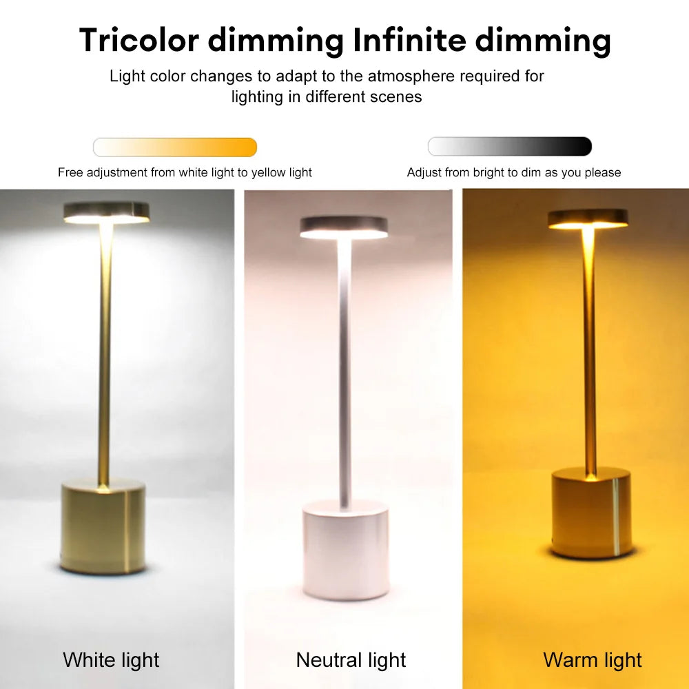 Touch Control Dimmable Metal Lamp