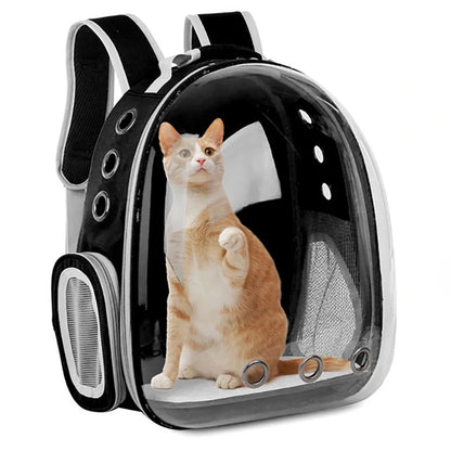 Transparent Cat Carrier Backpack