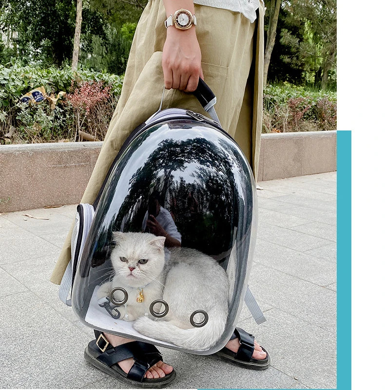 Transparent Cat Carrier Backpack