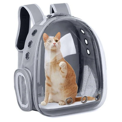 Transparent Cat Carrier Backpack