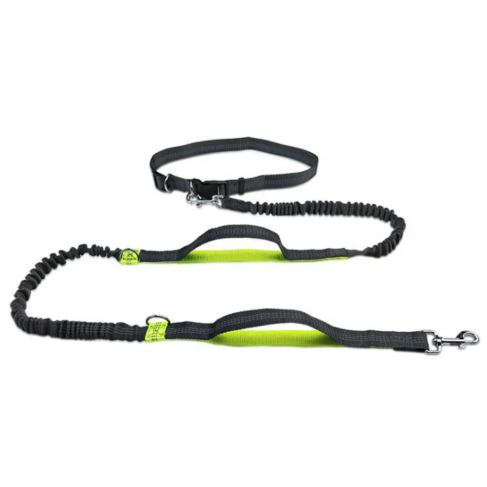 Hands-Free Elastic Reflective Dog Leash