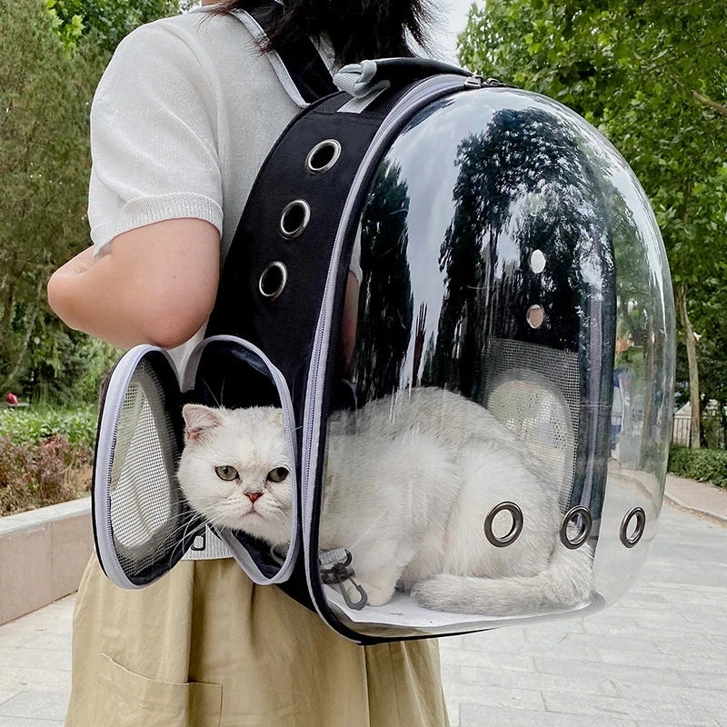 Transparent Cat Carrier Backpack