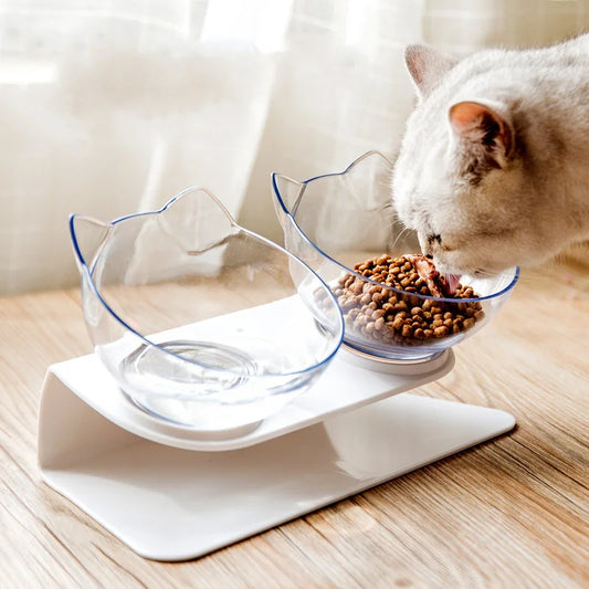 Non-Slip Ergonomic Double Pet Bowl